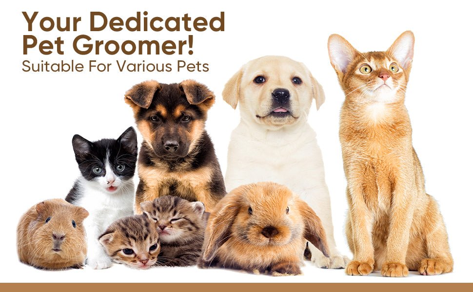 Self-Cleaning Steam Pet Grooming Brush – 4-in-1 Deshedding Tool