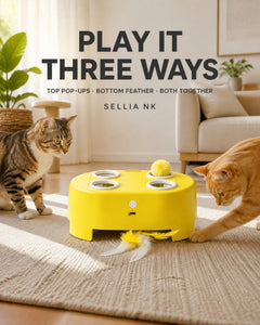 Sunshine Yellow WhiskerQuest offers three ways to play