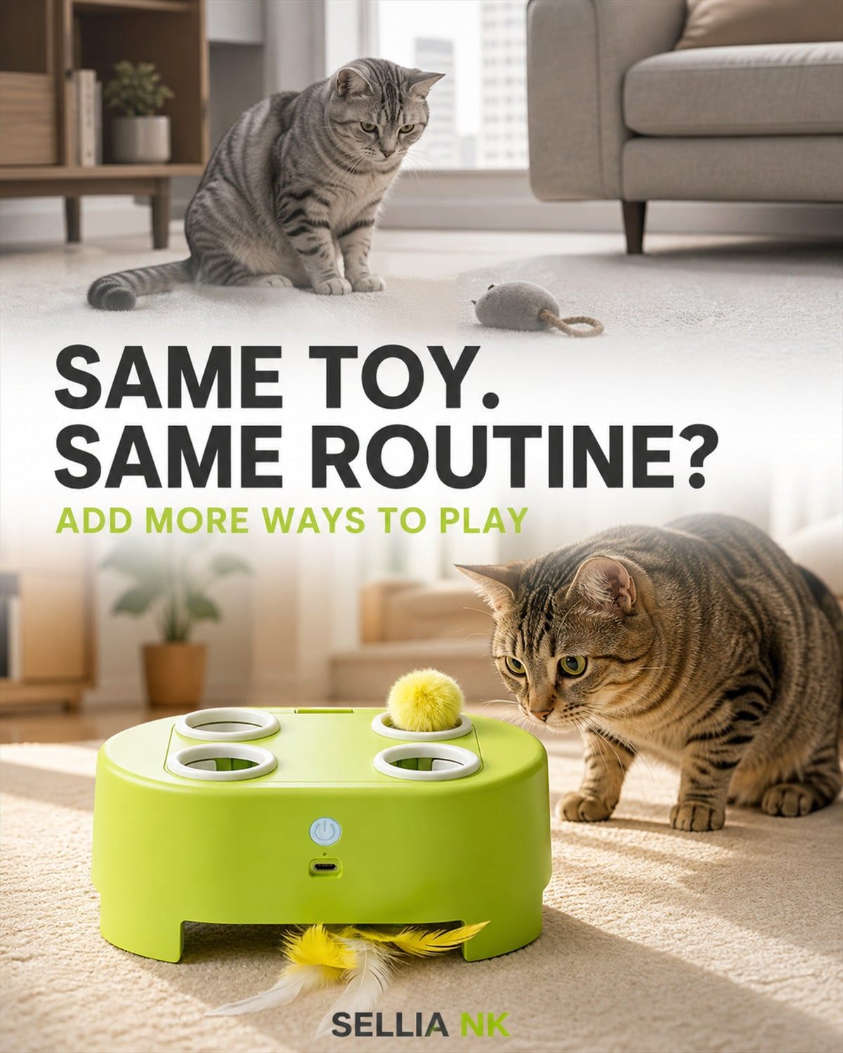 WhiskerQuest adds more variety than the same toy routine